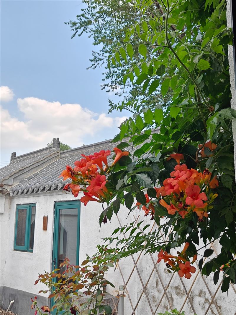 农村自建房（民宿）